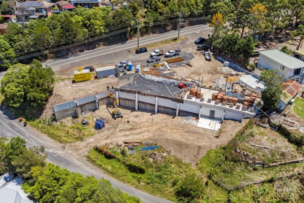 kurrajong